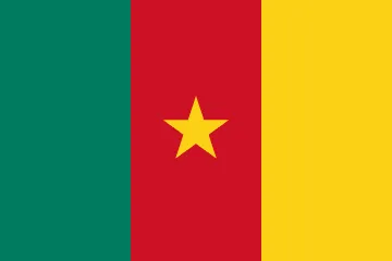 The flag of Cameroon