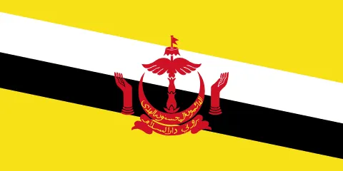 The flag of Brunei