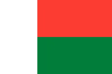 The flag of Madagascar