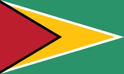 The flag of Guyana